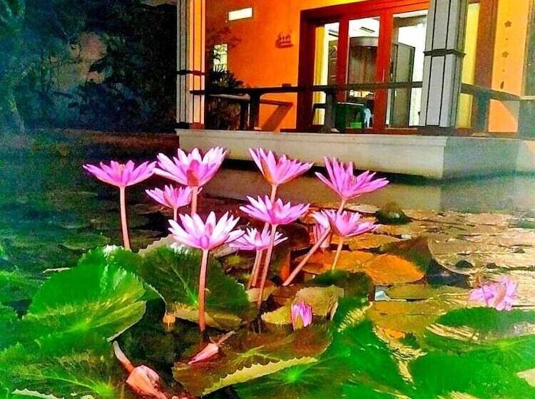 Pensió The Rest Maesai