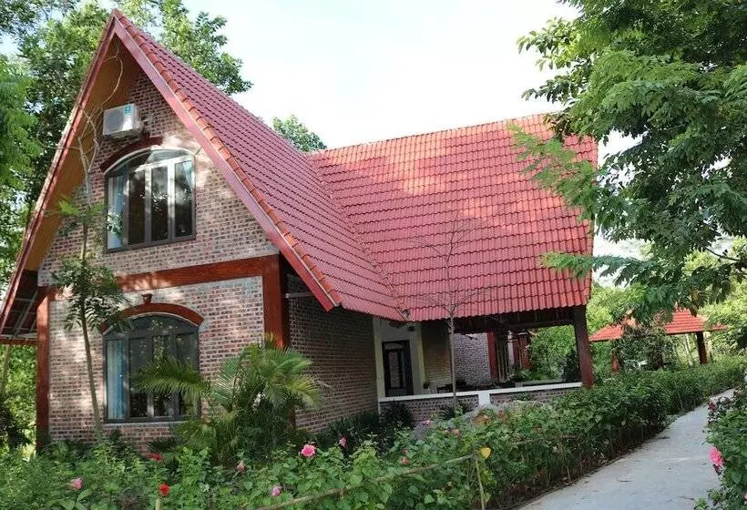 تختخواب و صبحانه Hang Mua Homestay