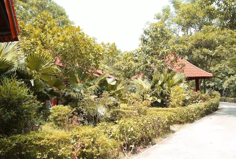 تختخواب و صبحانه Hang Mua Homestay
