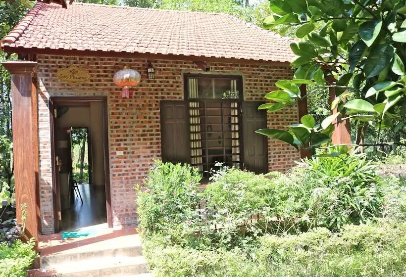 تختخواب و صبحانه Hang Mua Homestay