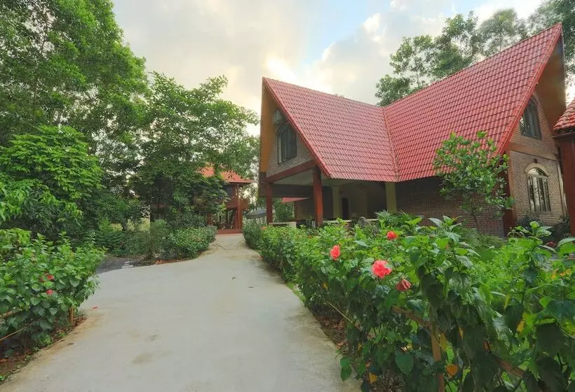 تختخواب و صبحانه Hang Mua Homestay