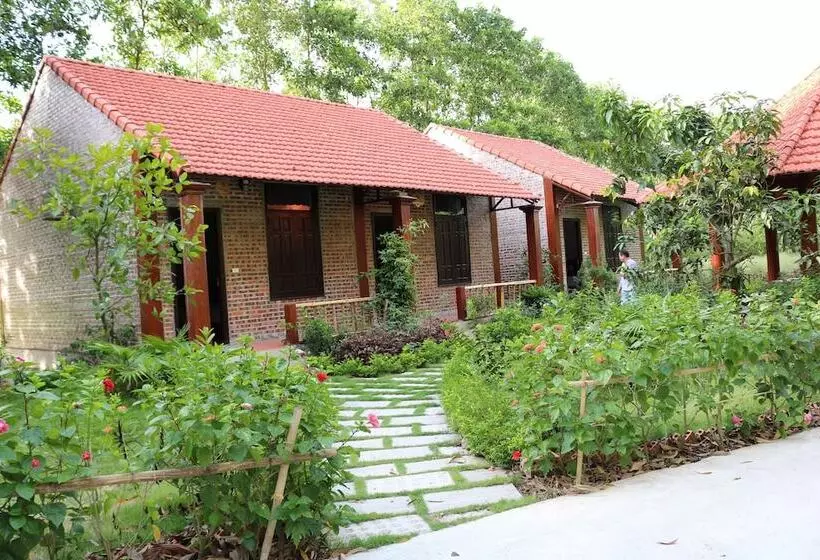 تختخواب و صبحانه Hang Mua Homestay