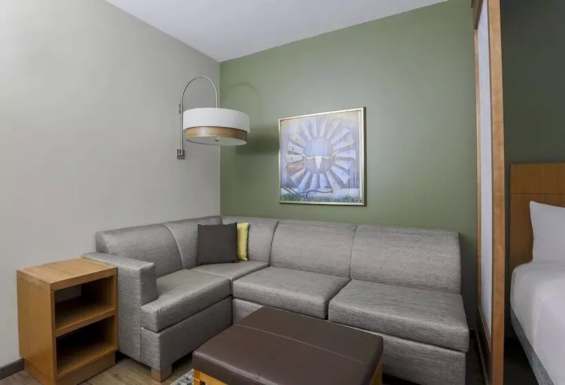 Hotelli Hyatt Place Waco