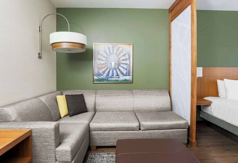 Отель Hyatt Place Waco