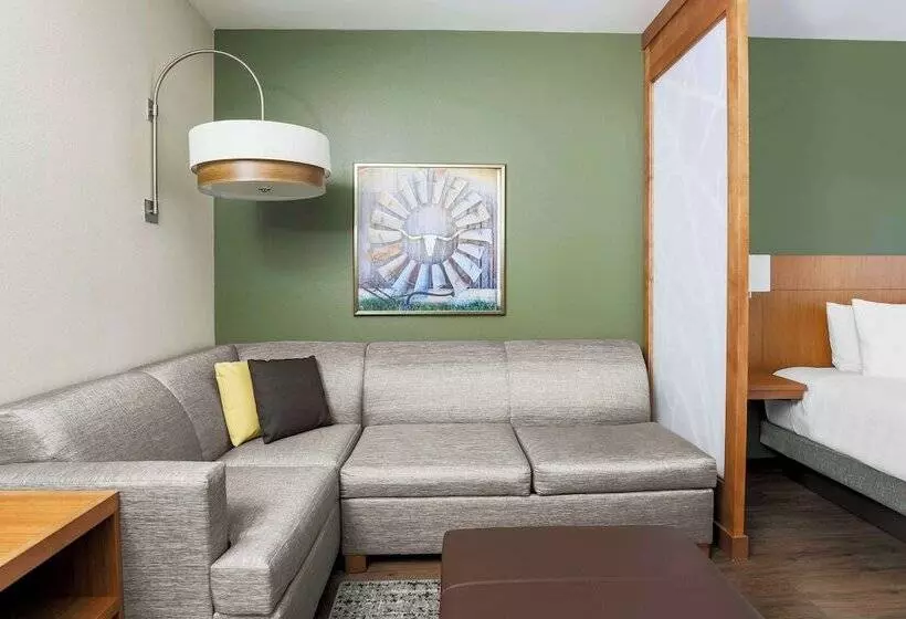 Hotelli Hyatt Place Waco