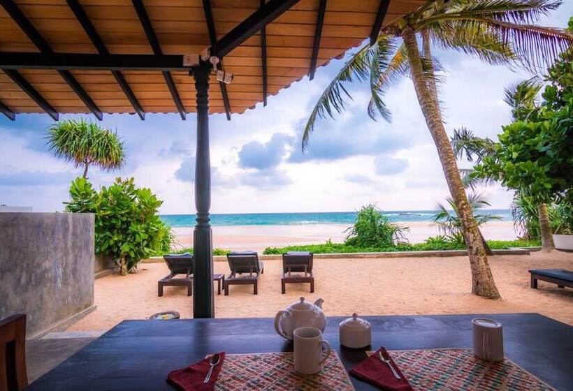 بنسيون Blue Parrot Beach Villa