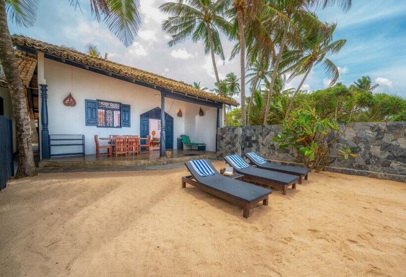 بنسيون Blue Parrot Beach Villa