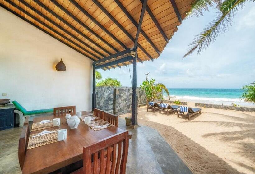 بنسيون Blue Parrot Beach Villa