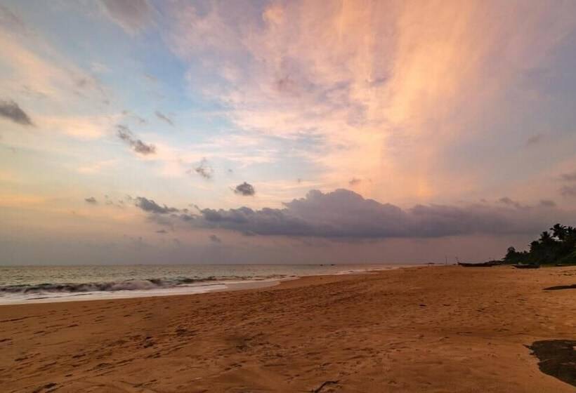 بنسيون Blue Parrot Beach Villa