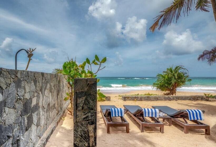 بنسيون Blue Parrot Beach Villa