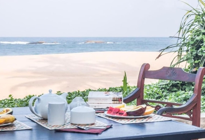 بنسيون Blue Parrot Beach Villa