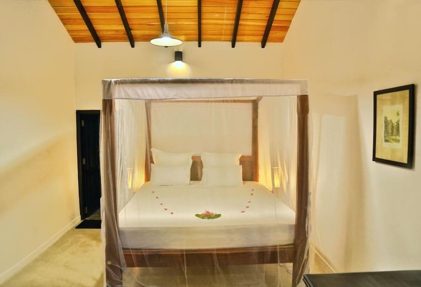 بنسيون Blue Parrot Beach Villa