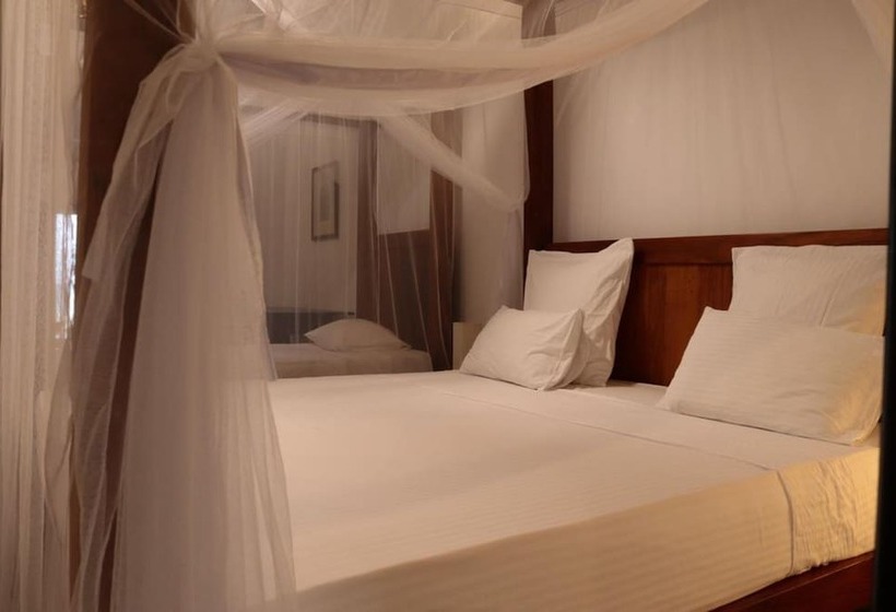 بنسيون Blue Parrot Beach Villa