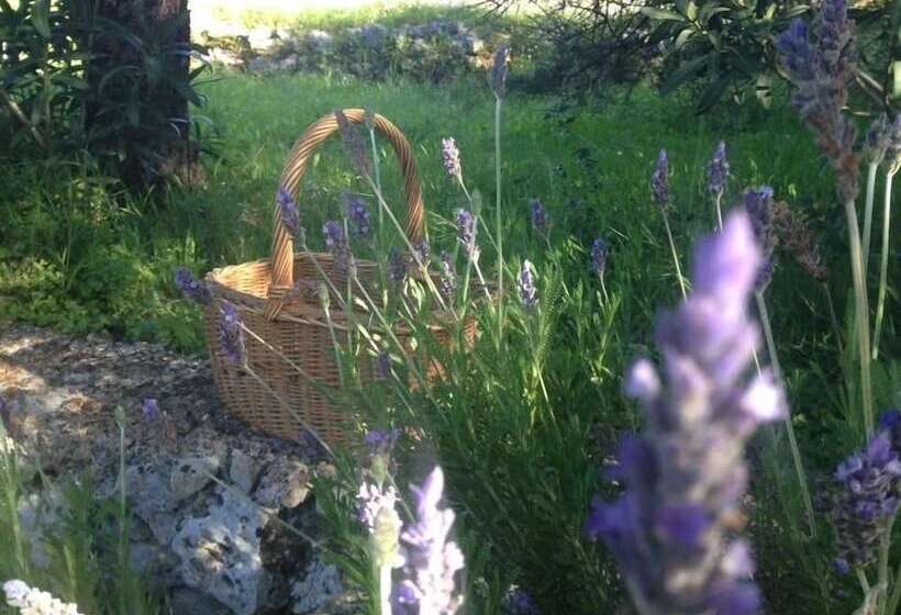 پانسیون Gentilini Retreat