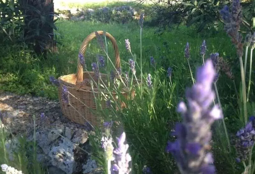 پانسیون Gentilini Retreat