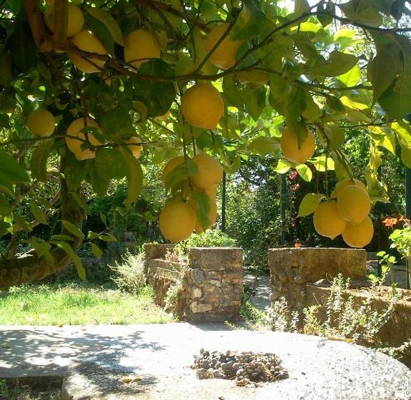 پانسیون Gentilini Retreat