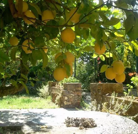 پانسیون Gentilini Retreat