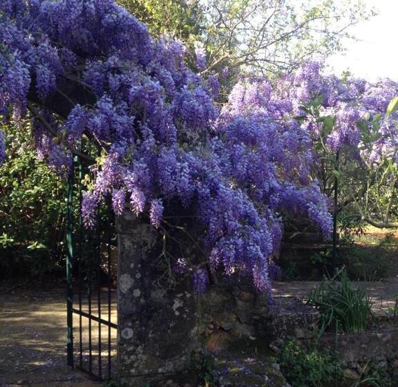 پانسیون Gentilini Retreat