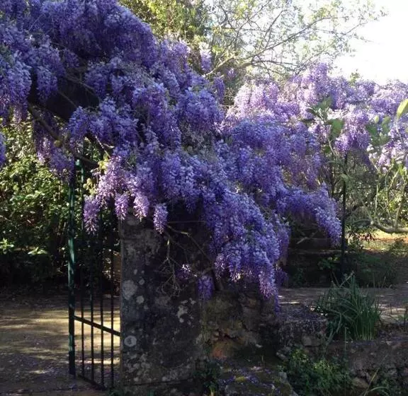 پانسیون Gentilini Retreat