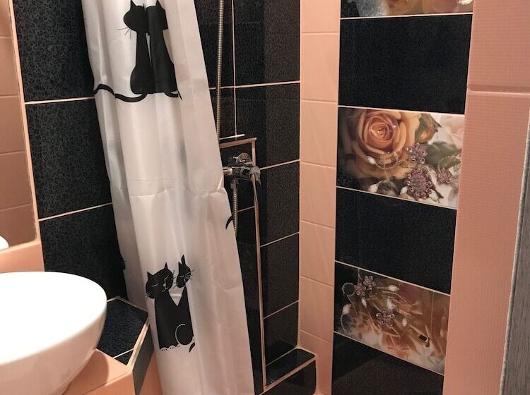 פנסיון U Aeroporta Mini