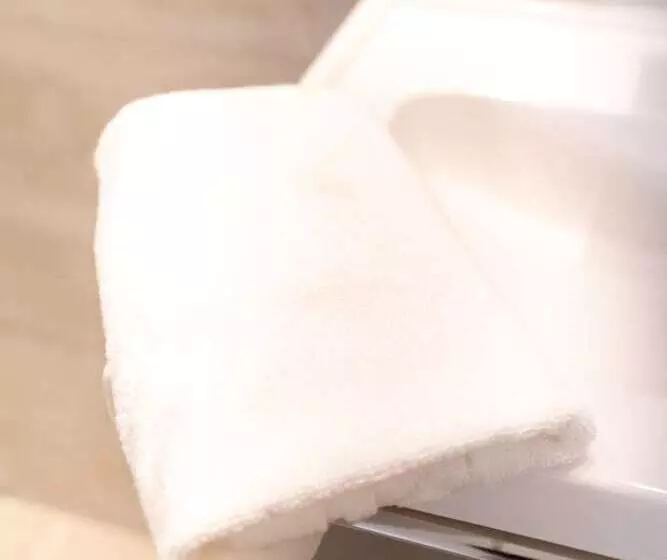 Aamiaismajoitus (B&B) Pavillon Fani