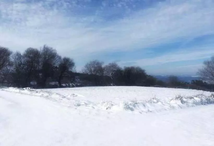 Hostelli Posada El Nozal