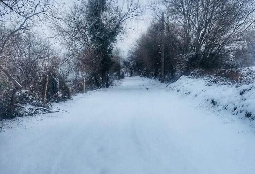 客栈  Posada El Nozal