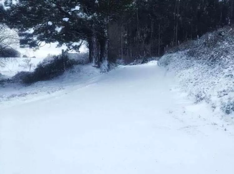 Hostelli Posada El Nozal