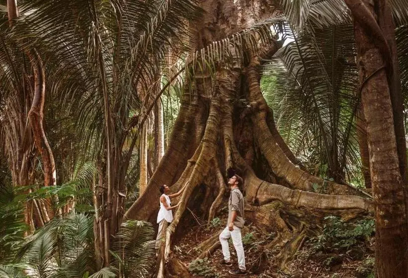 Hotelli One&only Mandarina