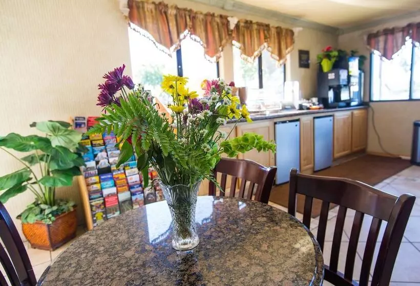 Отель Aloha Inn