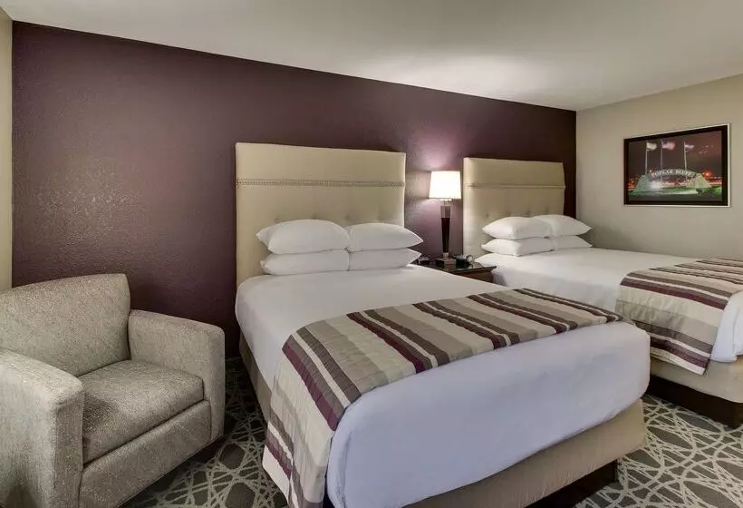 酒店 Drury Inn & Suites Poplar Bluff