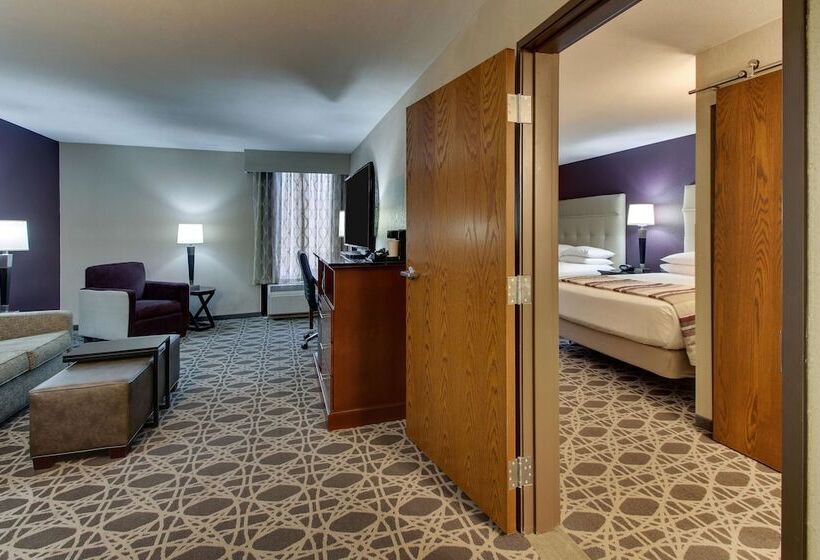 בית מלון כפרי Drury Inn & Suites Poplar Bluff