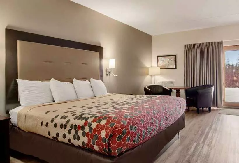 酒店 Econo Lodge Cadillac