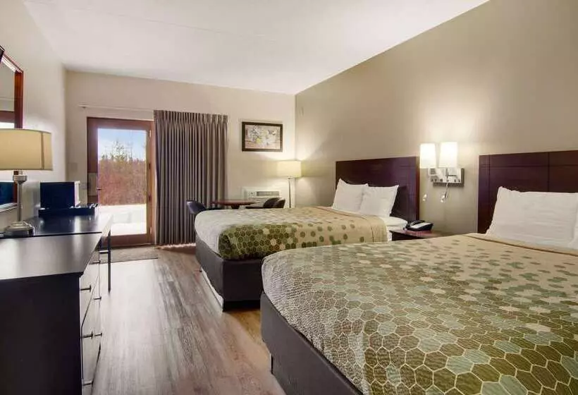 酒店 Econo Lodge Cadillac