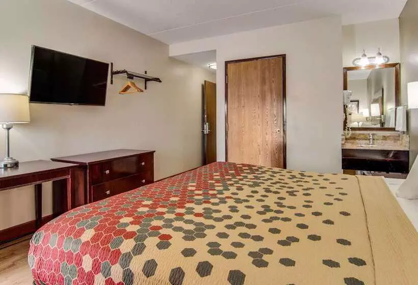 酒店 Econo Lodge Cadillac