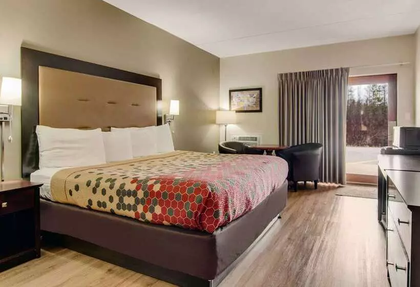 酒店 Econo Lodge Cadillac