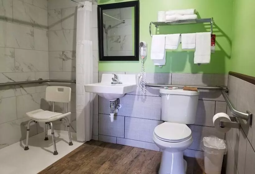 酒店 Econo Lodge Cadillac