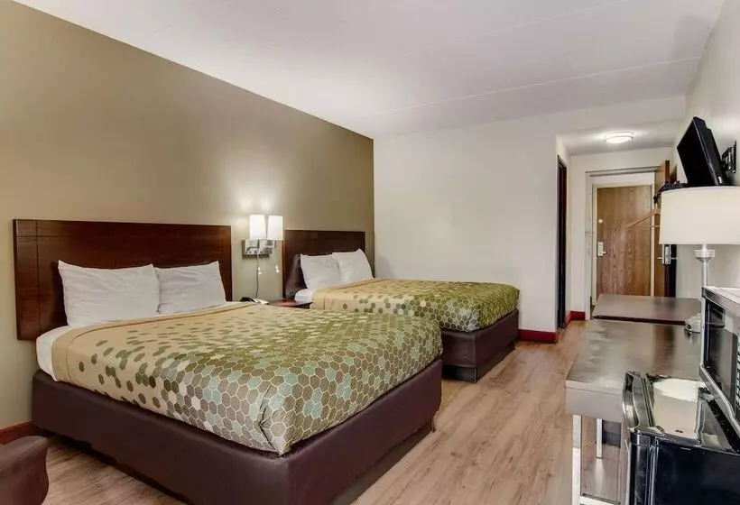 酒店 Econo Lodge Cadillac