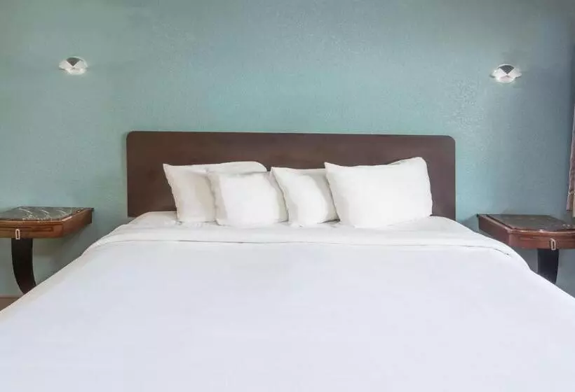 酒店 Avenida   Oceanside Camp Pendleton