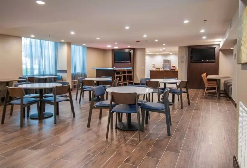 هتل Fairfield Inn & Suites By Marriott Dallas Dfw Airport South/irving