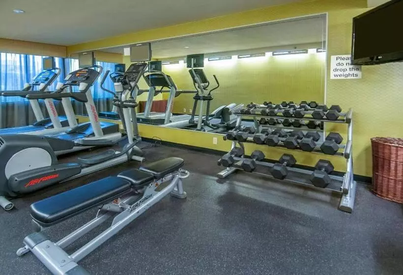 هتل Fairfield Inn & Suites By Marriott Dallas Dfw Airport South/irving