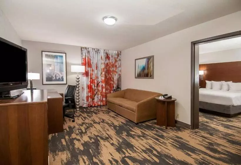 هتل Fairfield Inn & Suites By Marriott Dallas Dfw Airport South/irving