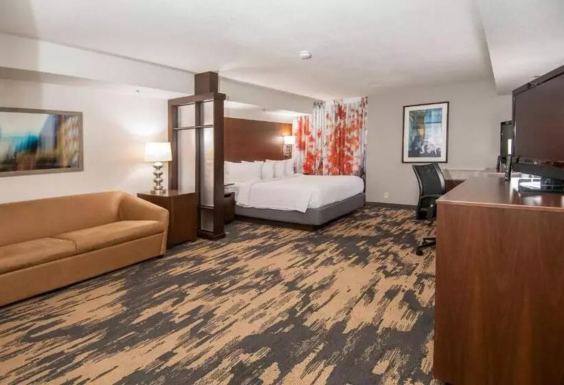 هتل Fairfield Inn & Suites By Marriott Dallas Dfw Airport South/irving