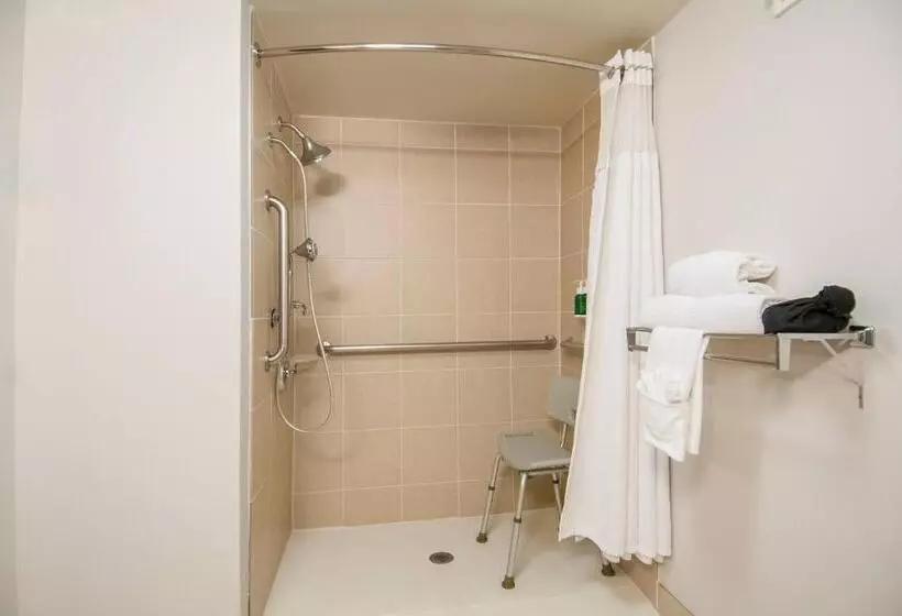 هتل Fairfield Inn & Suites By Marriott Dallas Dfw Airport South/irving