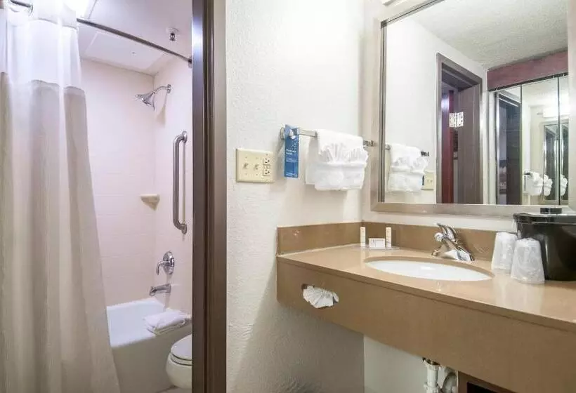 هتل Fairfield Inn & Suites By Marriott Dallas Dfw Airport South/irving
