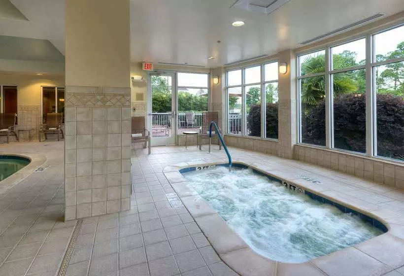 هتل Hilton Garden Inn Meridian