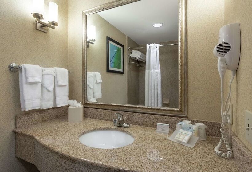 ホテル Hilton Garden Inn Meridian