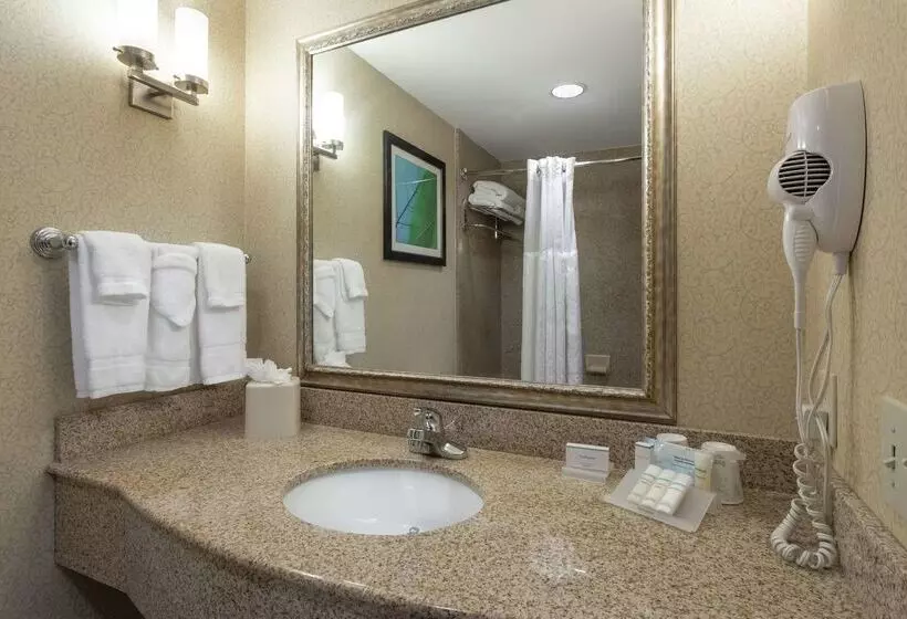 هتل Hilton Garden Inn Meridian