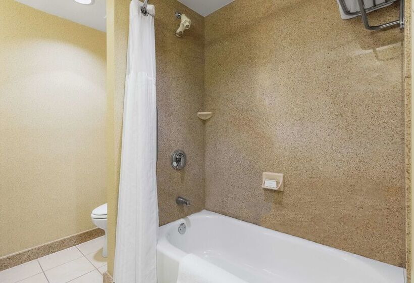 ホテル Hilton Garden Inn Meridian