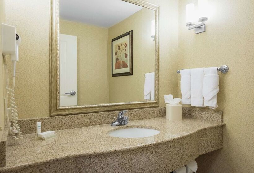 ホテル Hilton Garden Inn Meridian